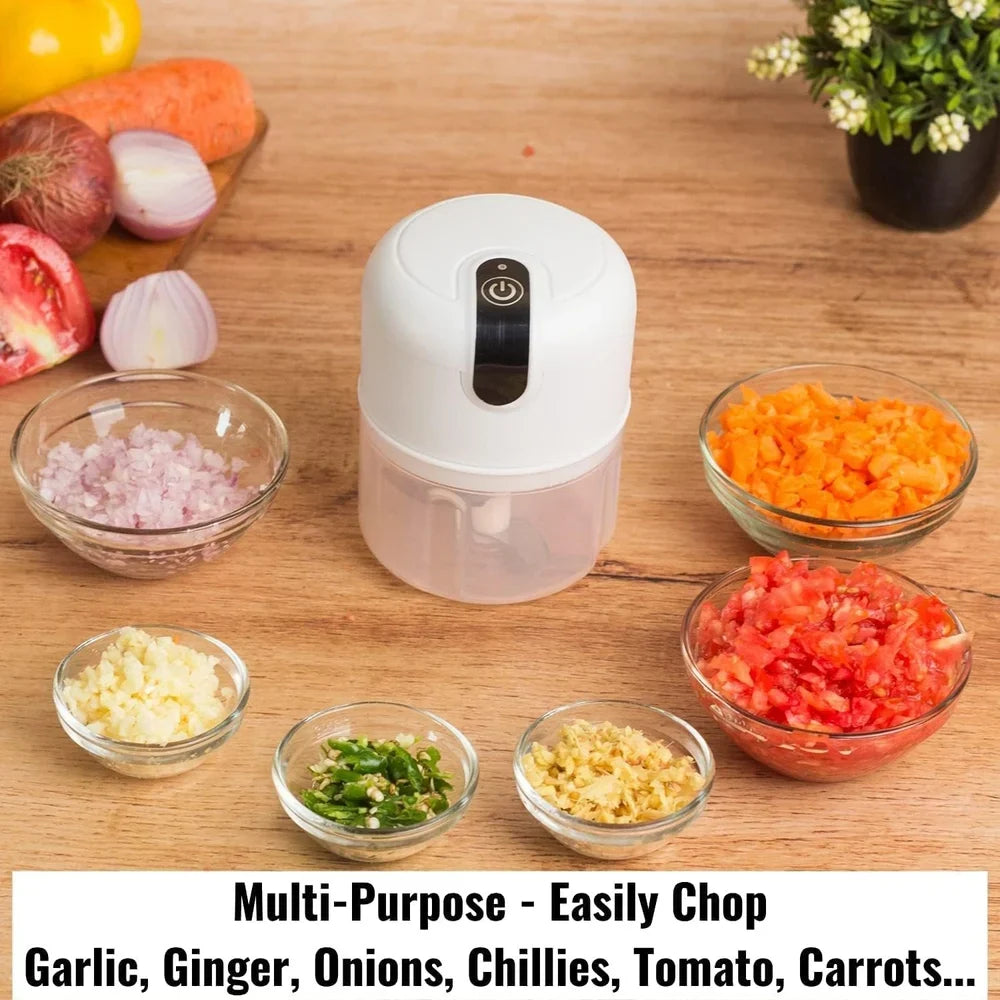 Electric mini chopper