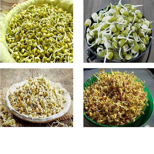 Sprout maker