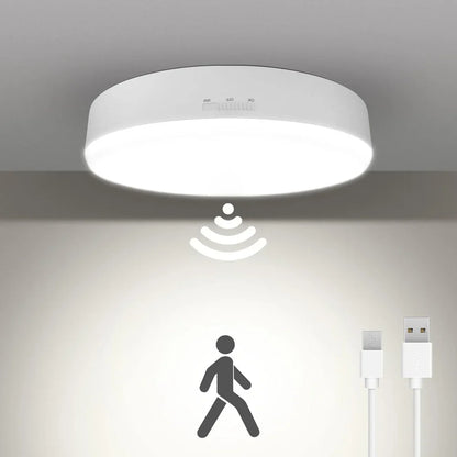 Motion sensor light