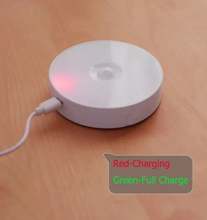 Motion sensor light